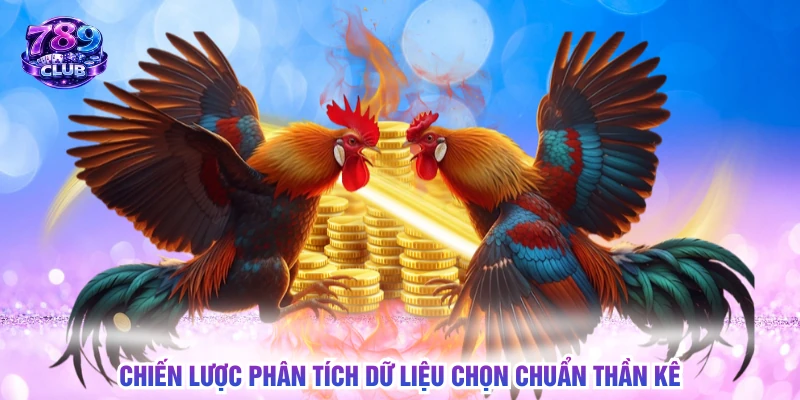 Chiến lược phân tích dữ liệu chọn chuẩn thần kê