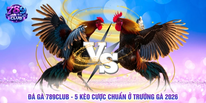 Đá gà 789CLUB