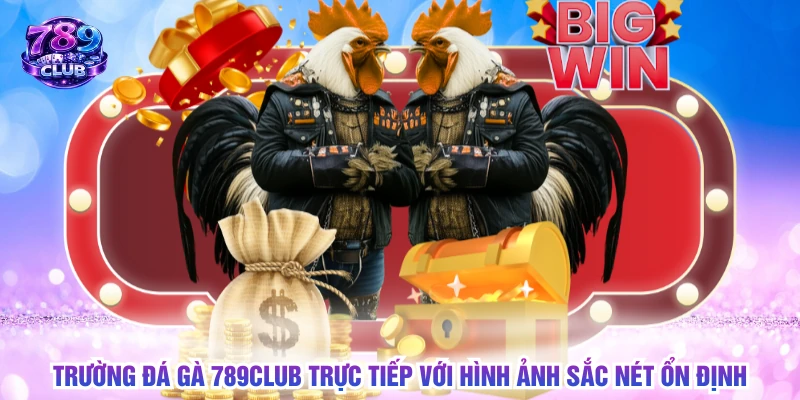 Trường đá gà 789CLUB trực tiếp với hình ảnh sắc nét ổn định